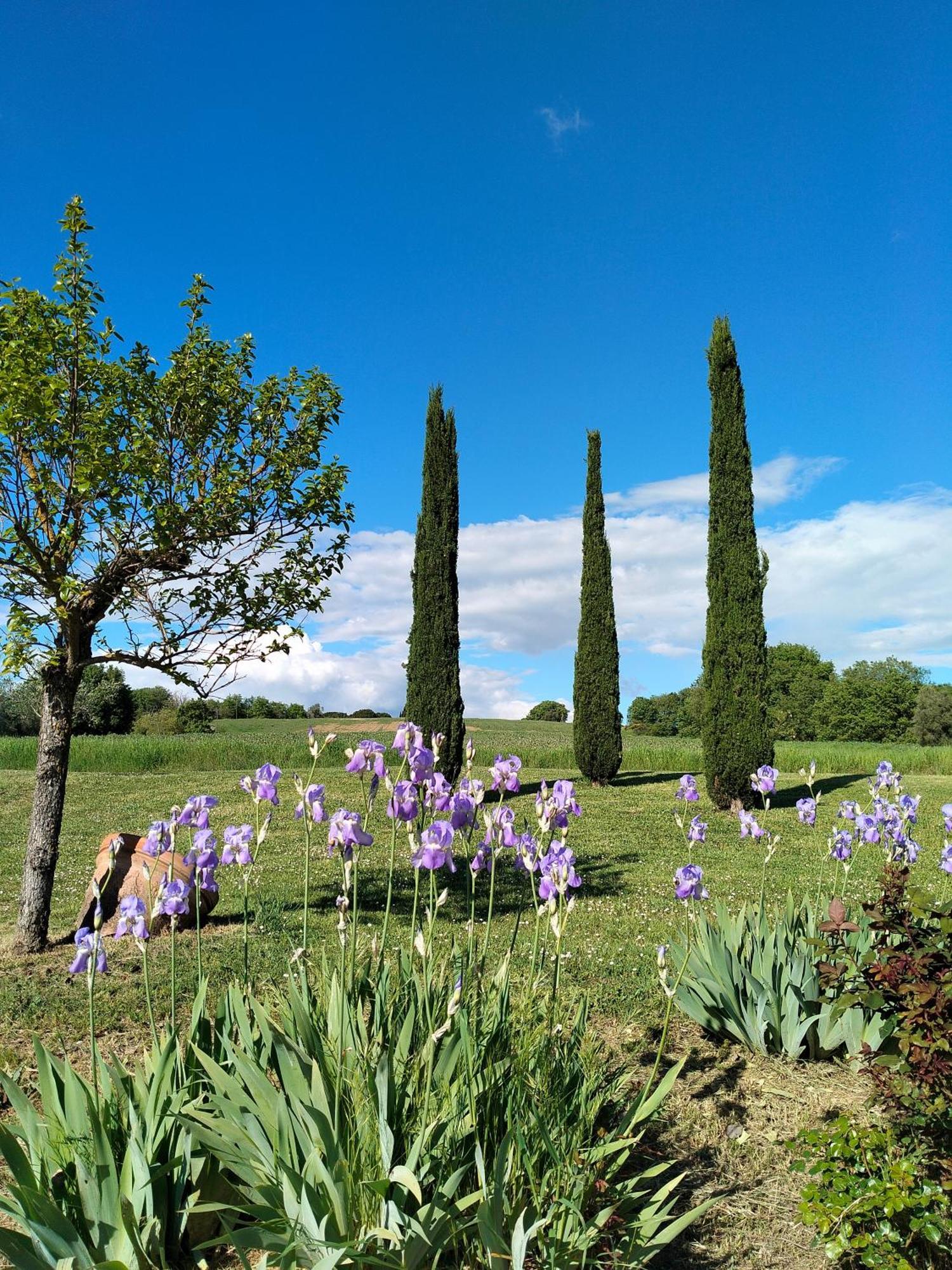 Villa Nobile Cortona Family Apartments Exteriör bild